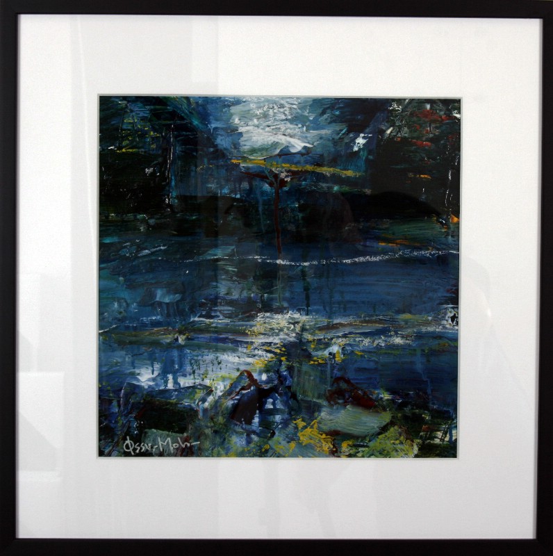 Færøerne - bag glas