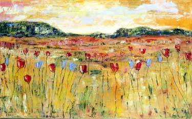 My field in Provence