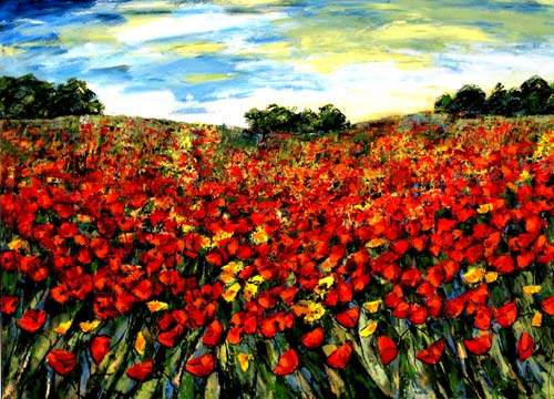 Blomster i enge - Provence