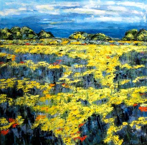 Plateau De Valensole