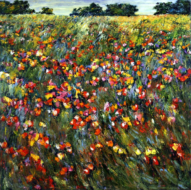 Blomster i enge - Provence