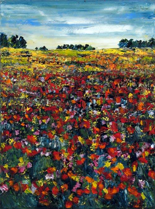 Evighedsblomster i Provence