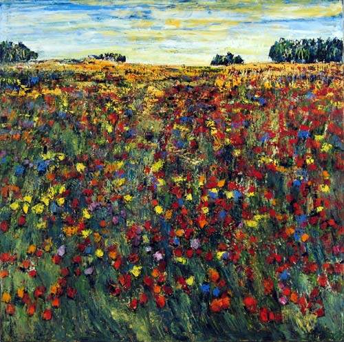 I Provence så jeg vilde blomster