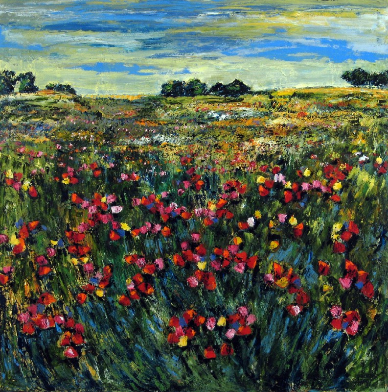 Vilde blomster i Grasse - Provence