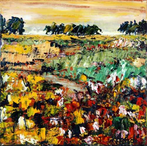 Vilde blomster i Provence