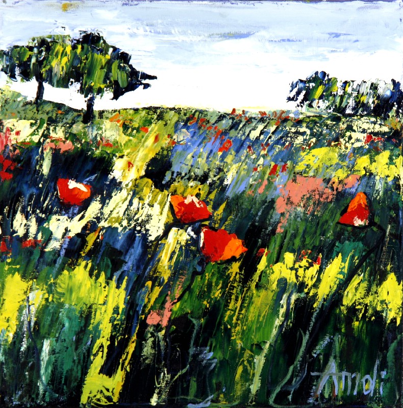 Vild natur Aix - Provence