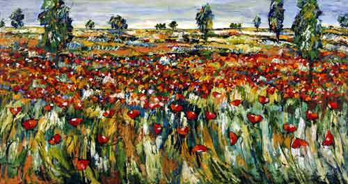 Plateau De Vaucluse - Provence