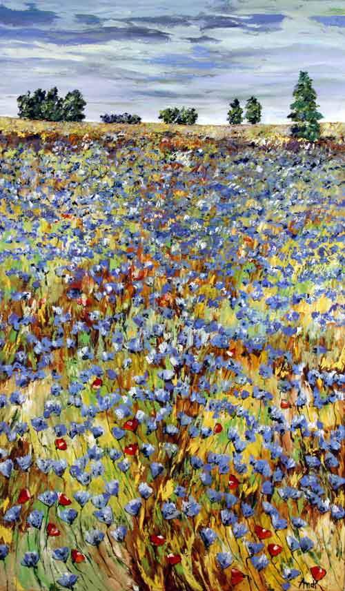 Kornblomster i Provence