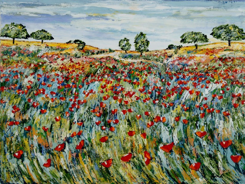 Et blomsterhav i Provence