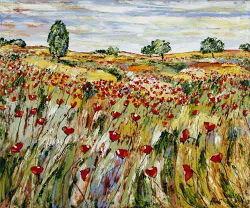 Plateau i Var - Provence