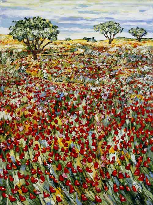 Vilde oliven i Provence