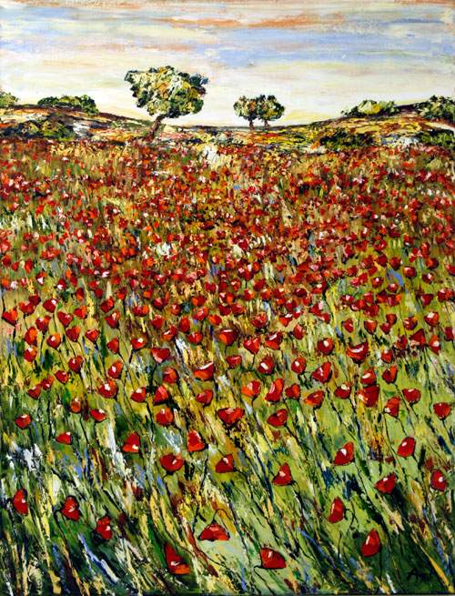 Le Ciel Rouge - Provence