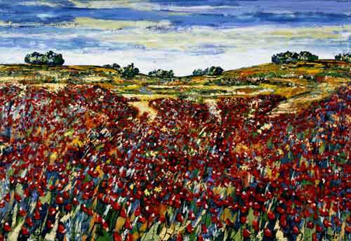 Fleur Sauvage - Provence