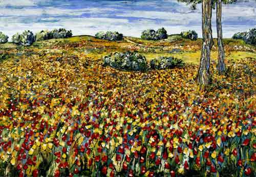 Fleur Sauvage - Provence