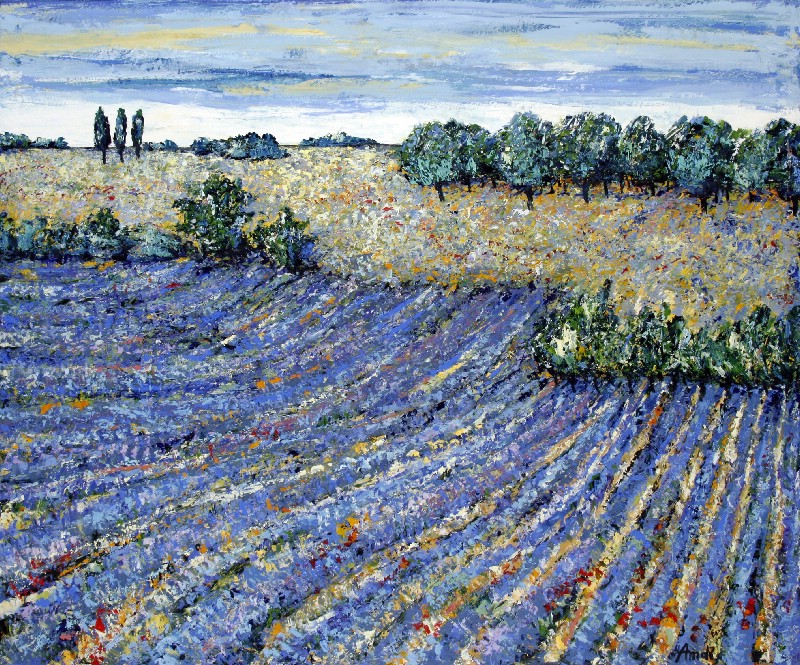 Un Ocean de Lavandel - Provence