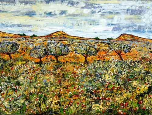 Oliven træer - Provence