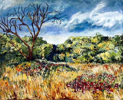 Red Flowers - Provence