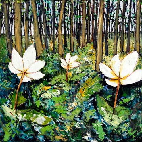 Annemoner - Provence