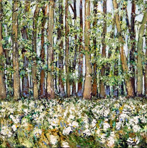 Annemoner i skoven - Provence