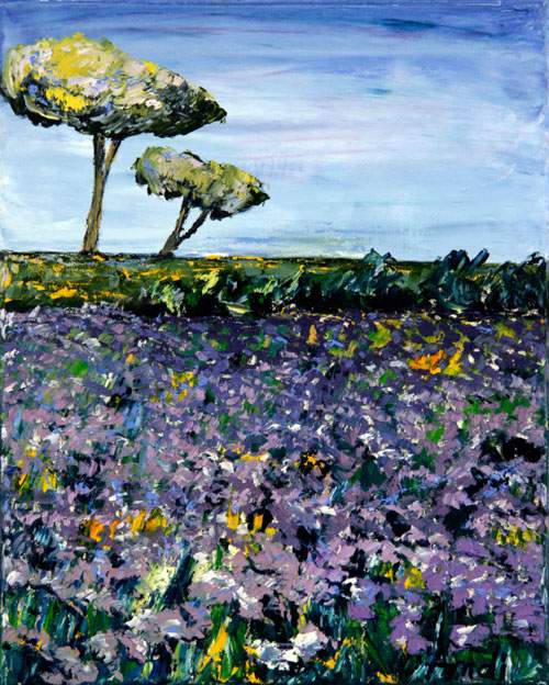 Pinjetræer - Provence