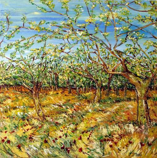 Frugtplantagen - Provence