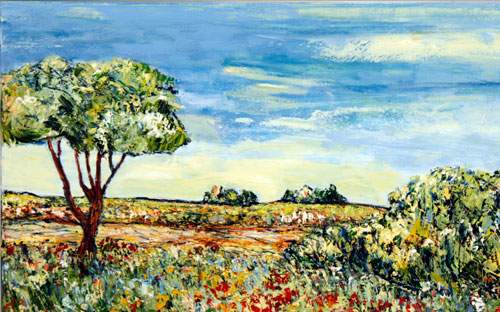 Landscape - Provence