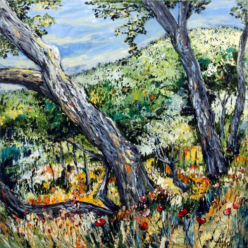 Massif des Maures - Provence