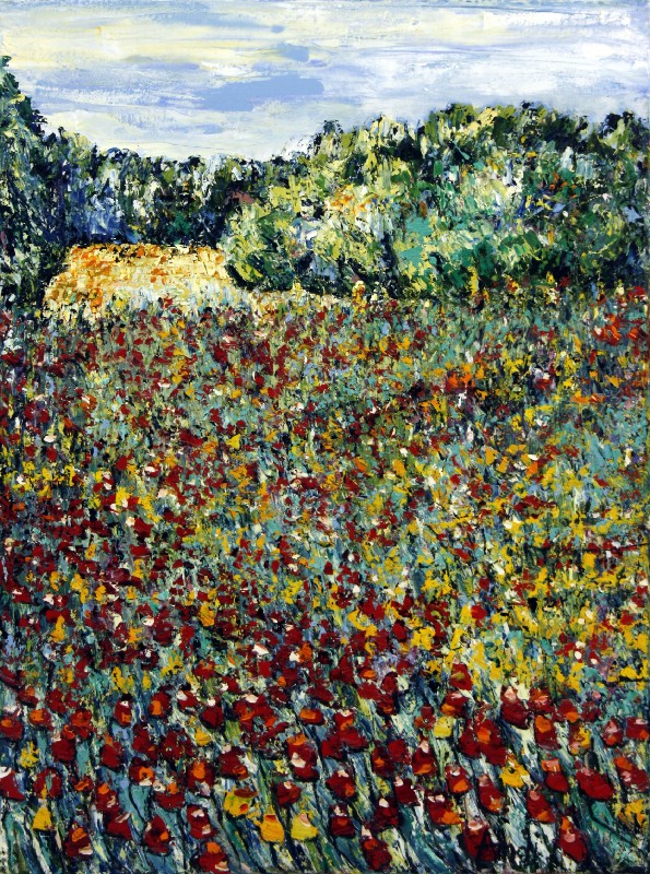 Wild Flowers - Provence