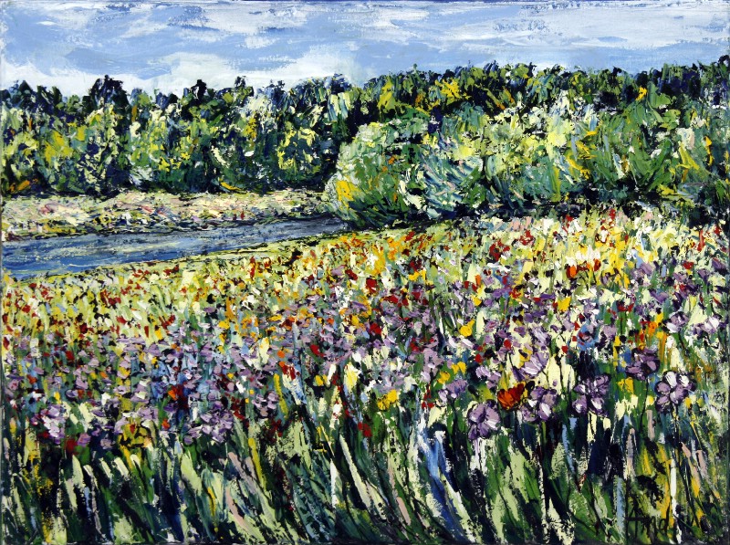 Landskab med lilla blomster - Provence