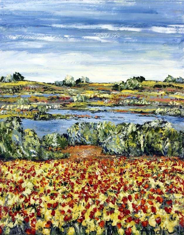 Provence - Check billedet