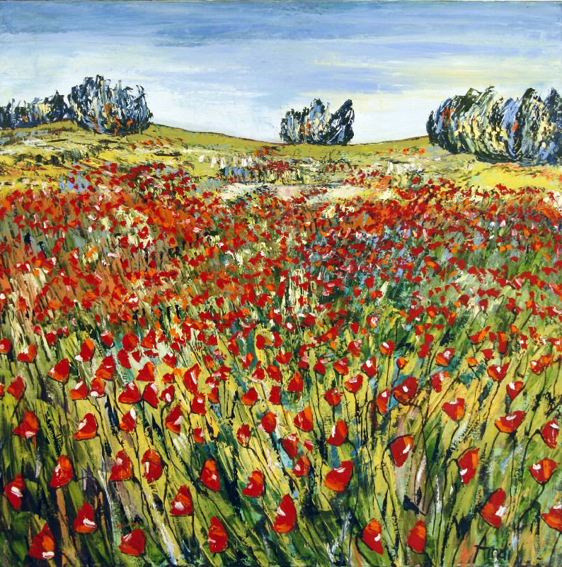 Bright Light - Provence