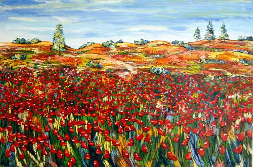 Landscape - Provence