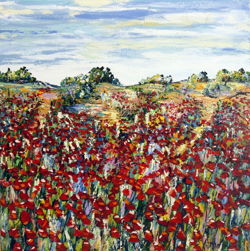 Valmuer i flok - Provence