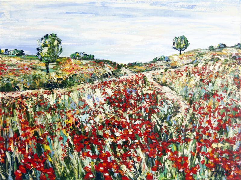 Wild Nature - Provence