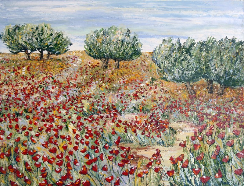 Olives In Provence