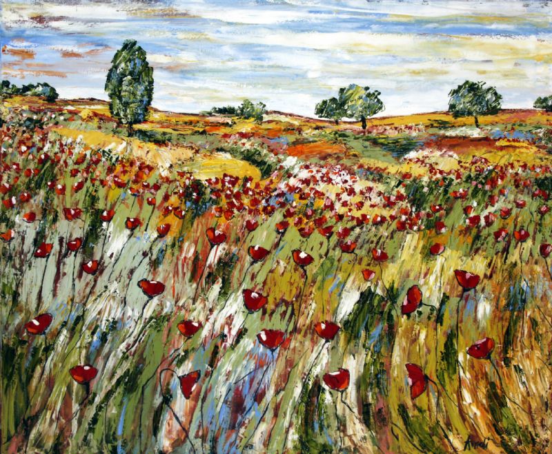 Plateau i Var - Provence