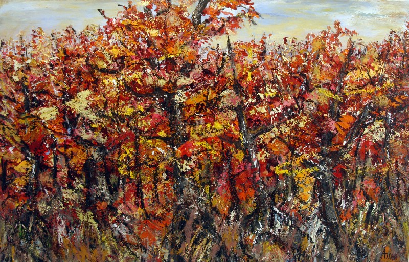 Vinstokke i efterårsfarver - Provence