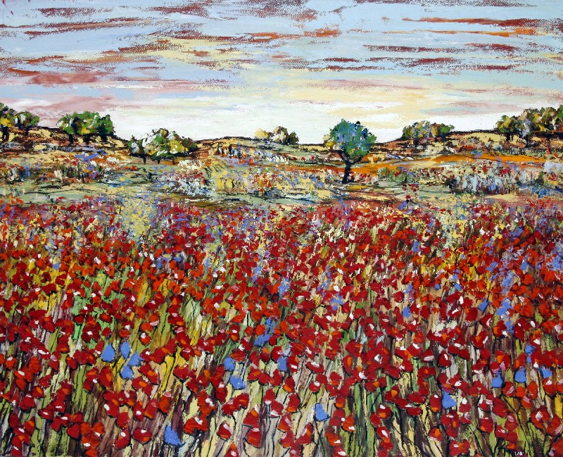 Red Flowers - Provence