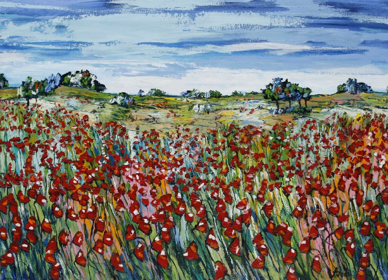 Paysage Plat - Provence