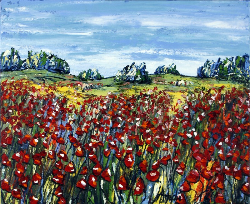 Coguelicots - Provence I