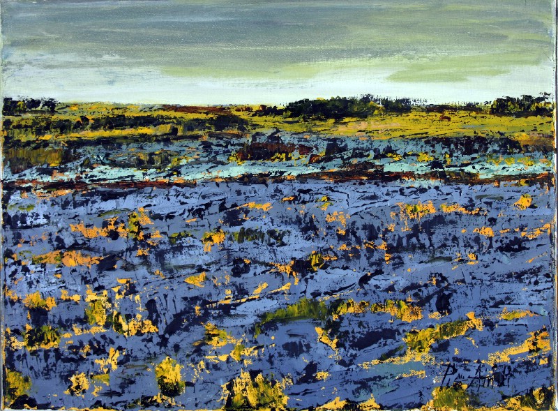 Lavendler - Provence