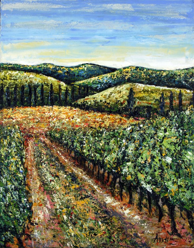 Wineyard - Provence