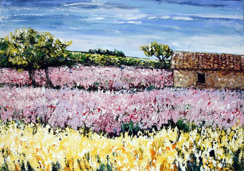 The Cabanon - Provence