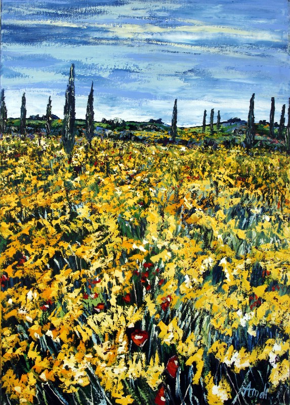 Cypresses - Provence