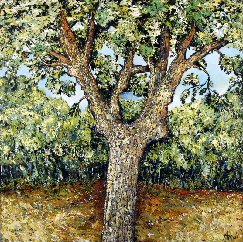 Majestic Tree - Provence