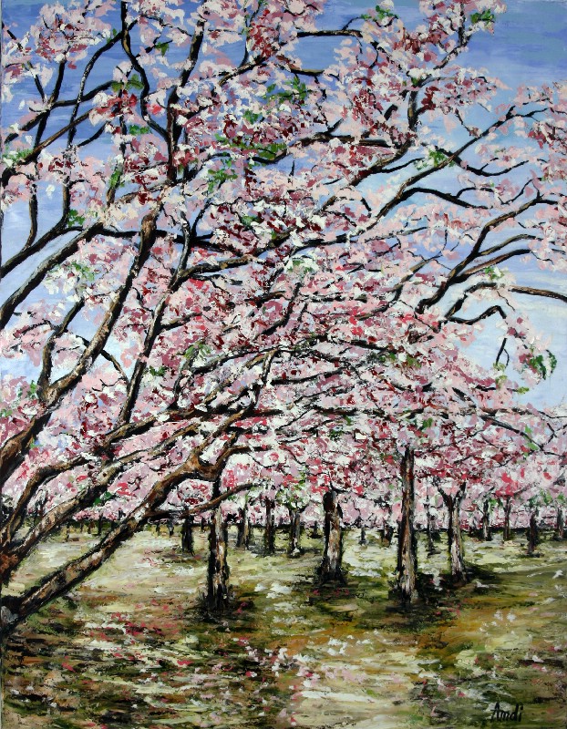 Flowering Cherry Trees