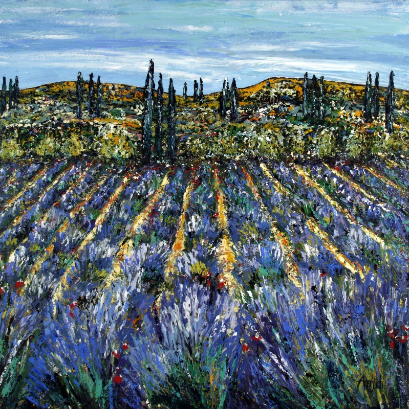 Lavender Field - Provence