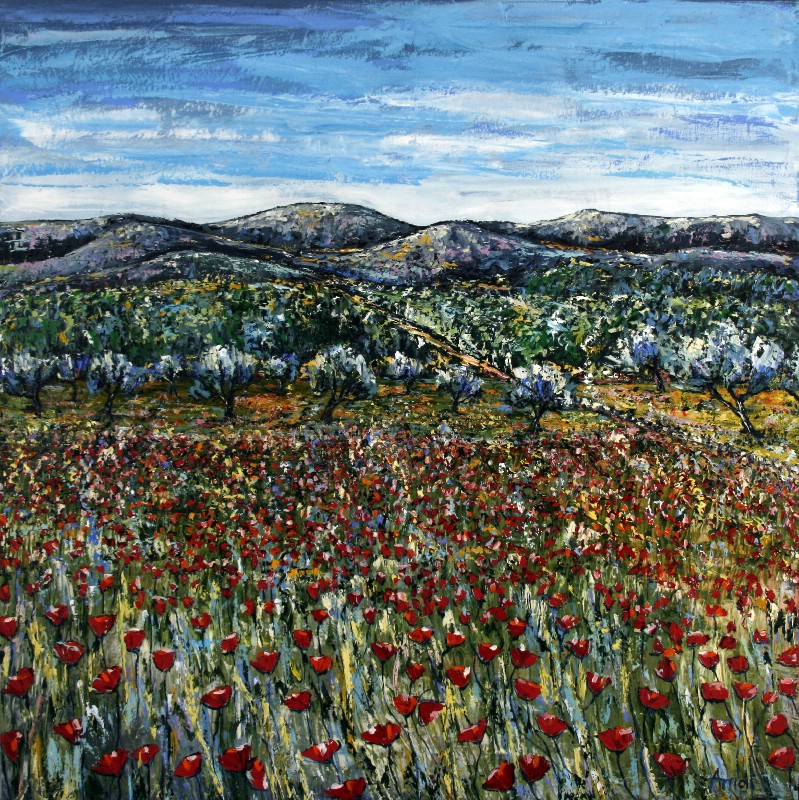 Olive Trees And Poppies - Provence