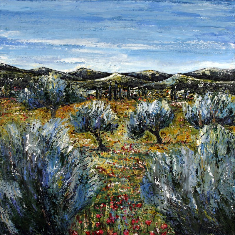 Olive Trees - Provence