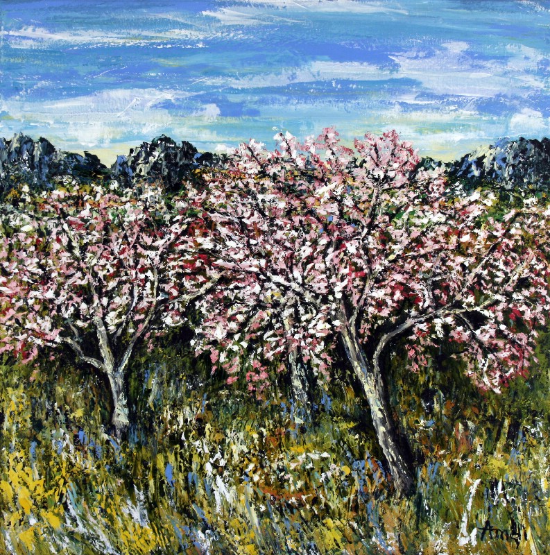 In Full Bloom - Provence